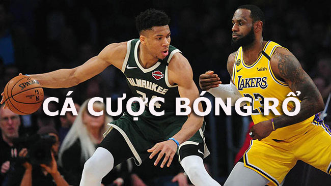 Cá cược bóng rổ BK8