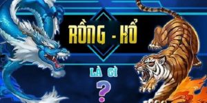 Rồng hổ BK8